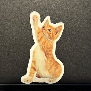 ORANGE CAT STICKER